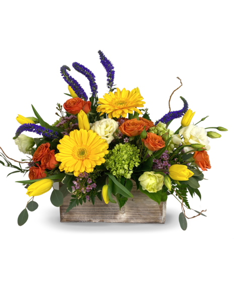 Spring Joy Centerpiece