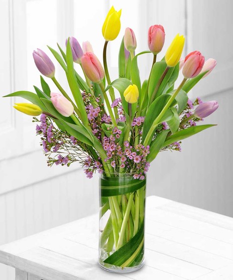 Colored Tulips Arranged