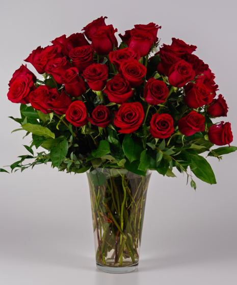 48 Red Roses