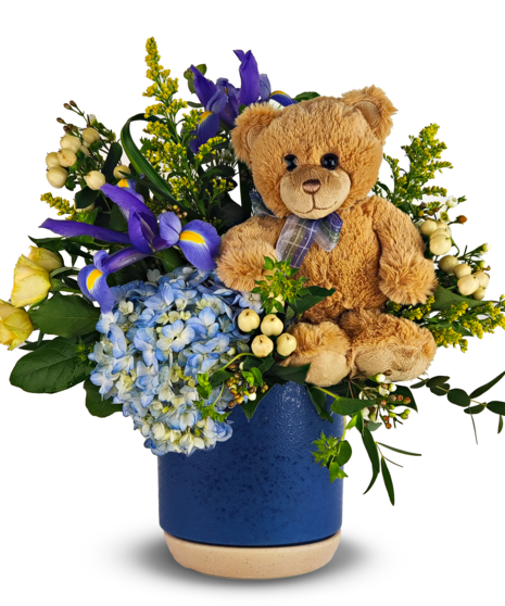 Bonnie Blue Bear