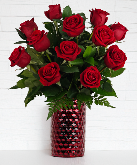 Schaaf's Radiant Red Roses