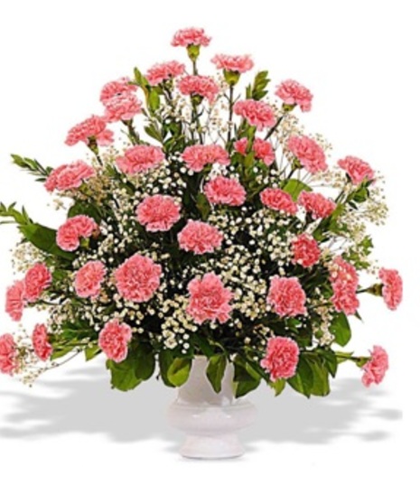 All Pink Carnation Traditional Style