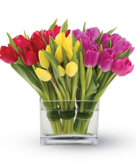 Trio of Tulips Arranged