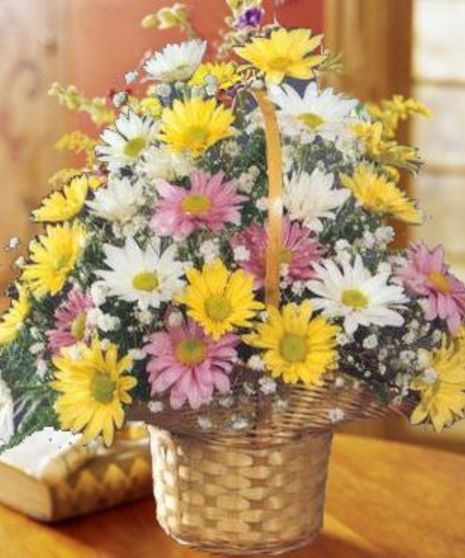 Daisy Basket Floral Arrangement