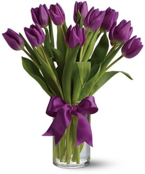 15 Purple Tulips Arranged