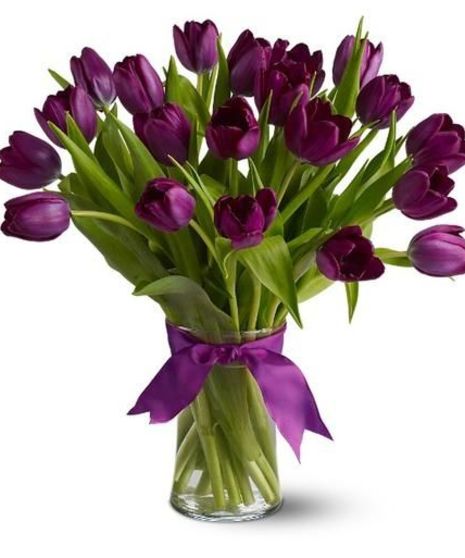 Purple Tulips