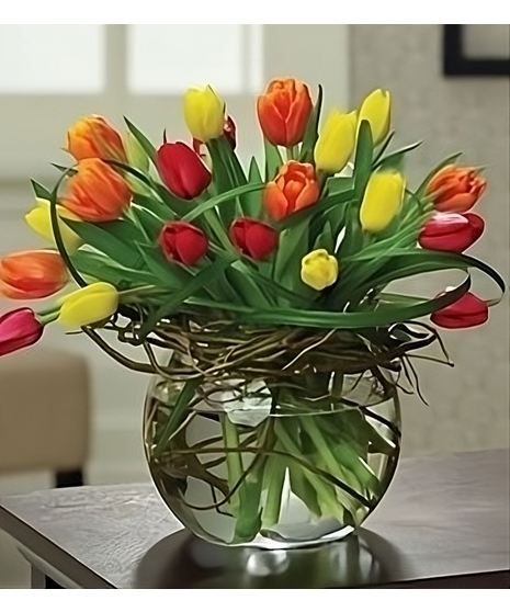 Multicolored Tulips Arranged