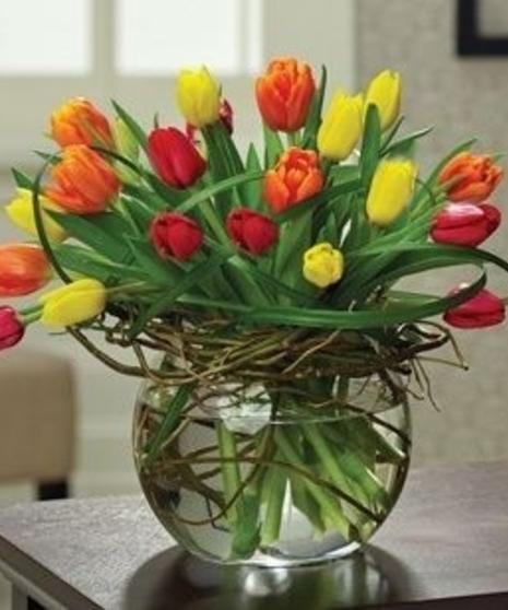 20 Multi Colored Tulips